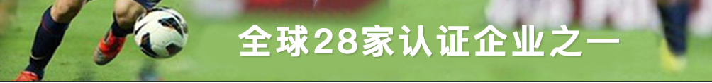 人造草坪 FIFA 會員企業