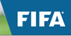 人造草坪 FIFA 會員企業